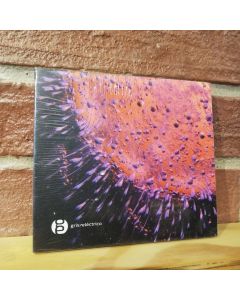 Guido Ruiz-Gris Electrico (CD)