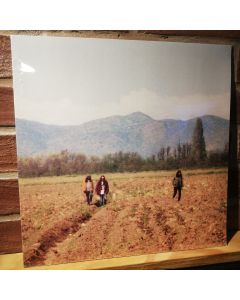 Lagunas Mentales S/T (LP 12")
