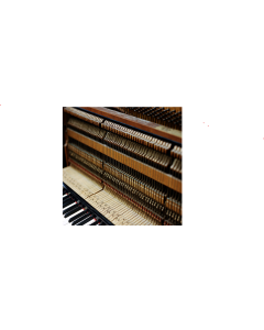 Sebastian Alerce-Slic! (LP12)